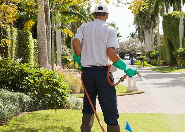 About Branson MO Pest Control Pros